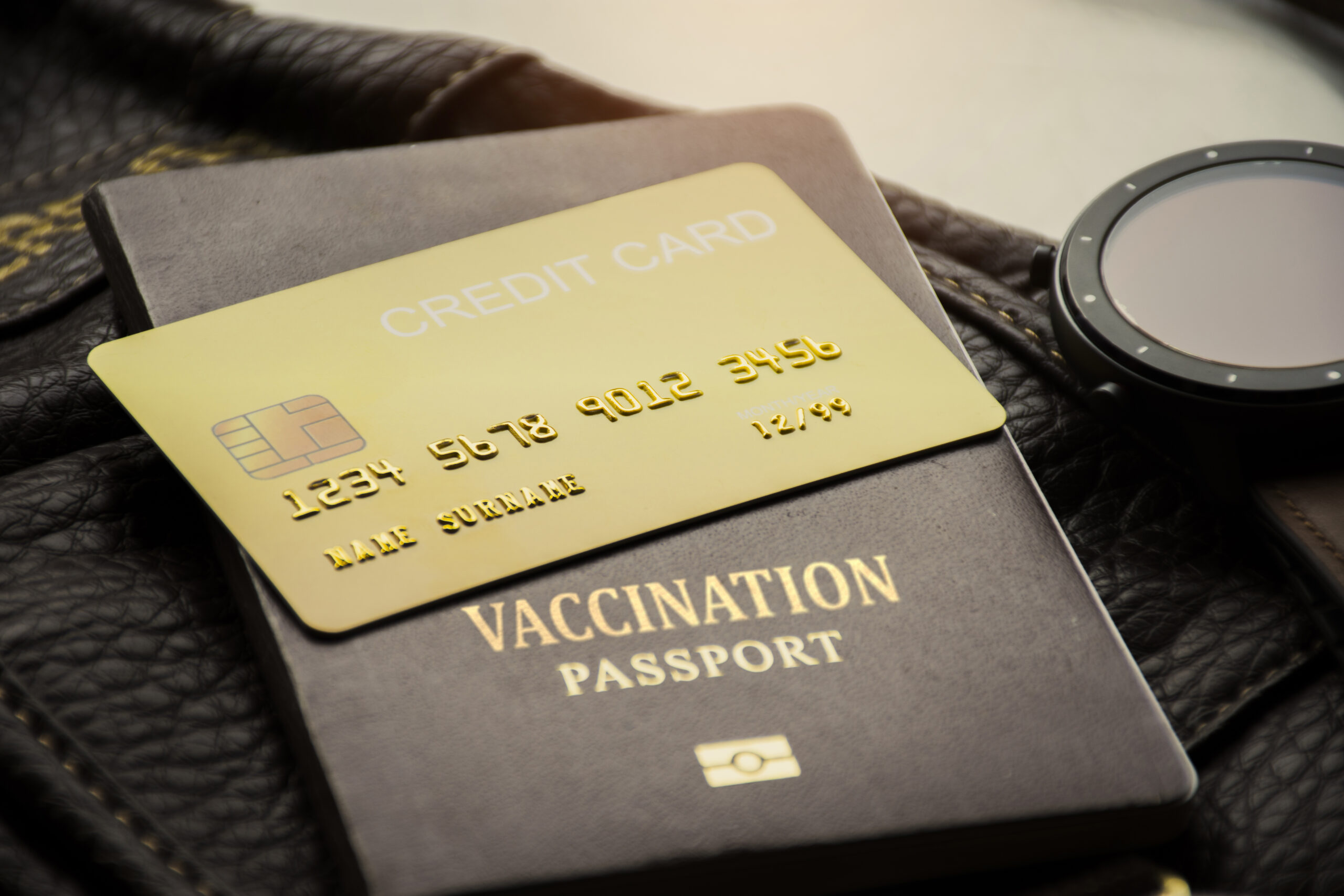 Credit card and vaccination passport for international travel pl